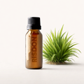 Citronella Oil (Java)